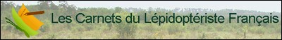 Les Carnets du Lepidoptriste franais
